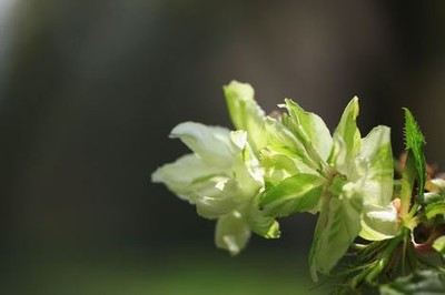 《交换的日子》第二期