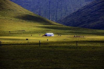 丁香人才网成都护士招聘