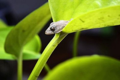 少女免费观看完整电视 高清